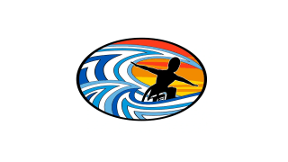Surfgimp Foundation